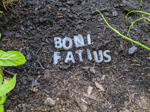 Eisheiliger Bonifatius
